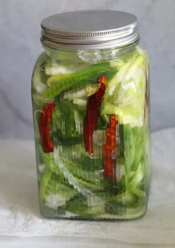 Fermented Spring Onion and Cabbage