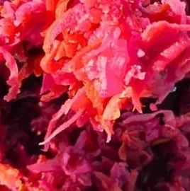 Bowl of homemade fermented coleslaw with root vegetables on a wooden table