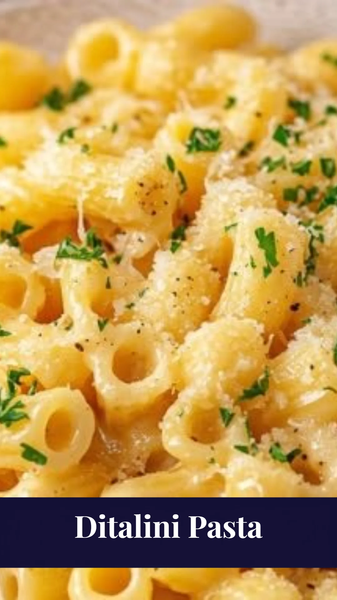 Ditalini Pasta