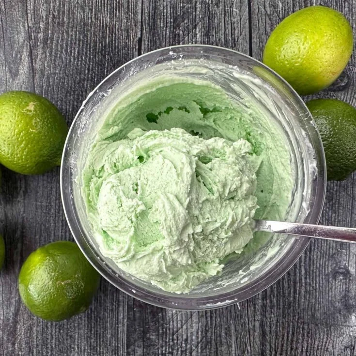 Keto Key Coconut Ice Cream in a bowl with coconut flakes on top